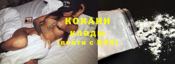хмурый Магас