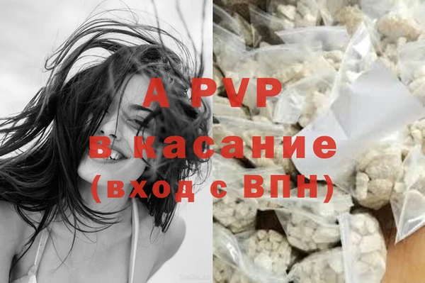 стафф Алексин