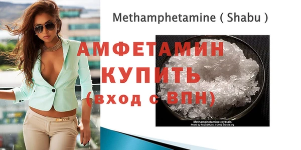 стафф Алексин