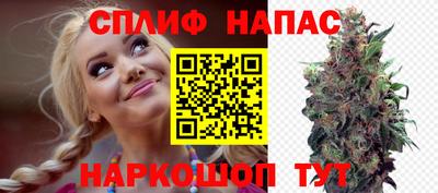 spice Коммунар