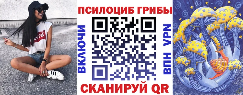Псилоцибиновые грибы Psilocybine cubensis  Тольятти 