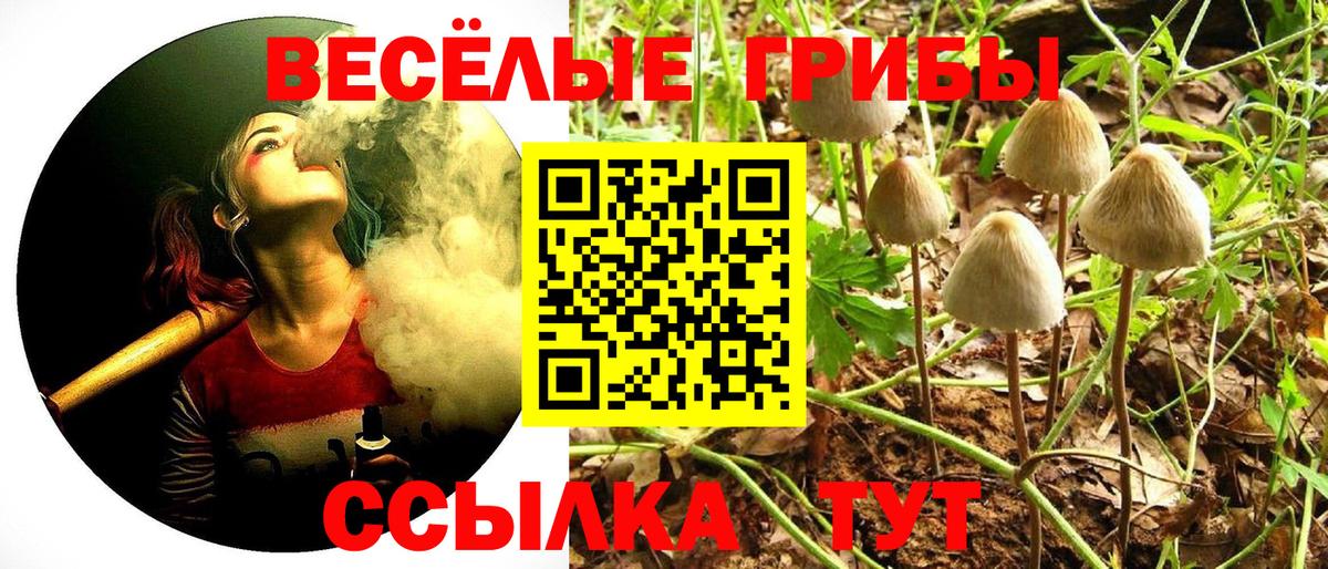 Галлюциногенные грибы мухоморы Тольятти