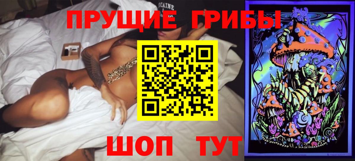 Псилоцибиновые грибы MAGIC MUSHROOMS  Псилоцибиновые грибы GOLDEN TEACHER  купить закладку  Тольятти  Вход с VPN 