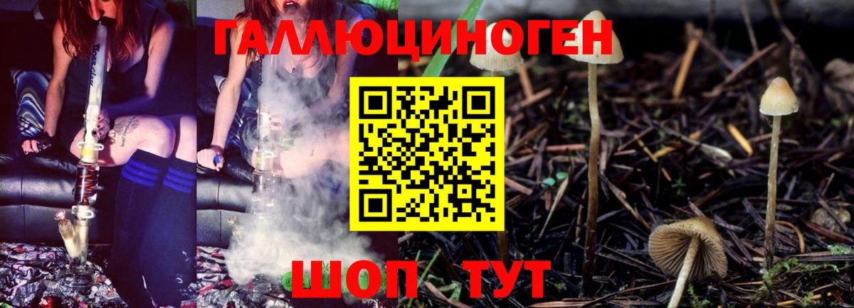 Галлюциногенные грибы MAGIC MUSHROOMS  Вход с VPN  Тольятти 