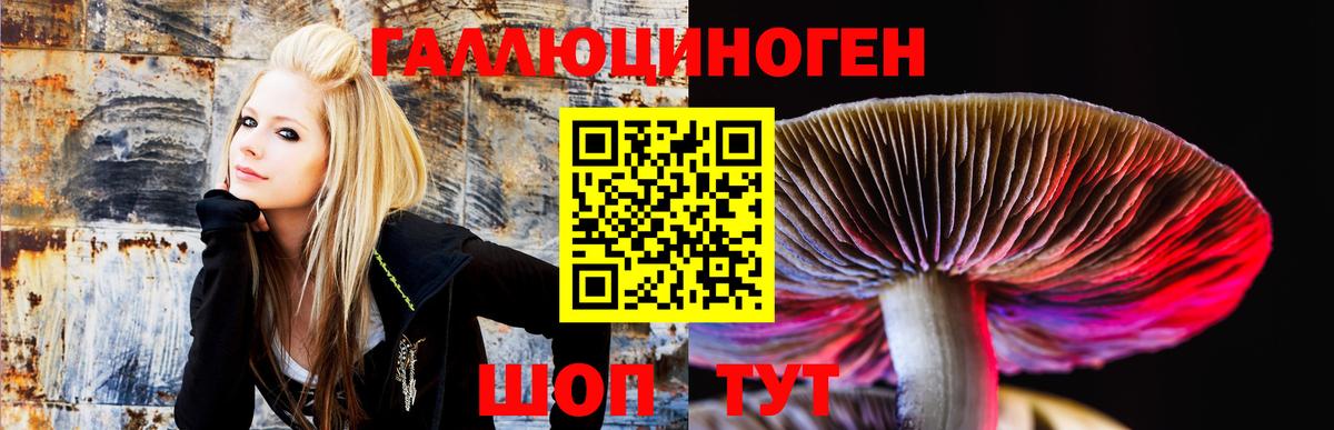 Псилоцибиновые грибы мухоморы Тольятти